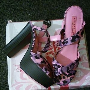 Pink Cheetah print platform chunky heel shoes